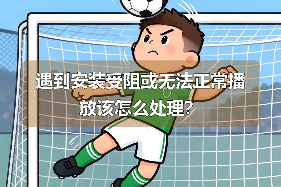 遇到安装受阻或无法正常播放该怎么处理？